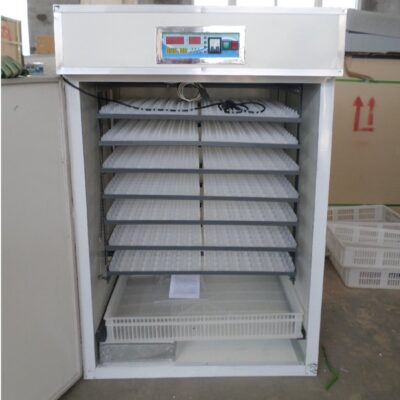 528eggs incubators